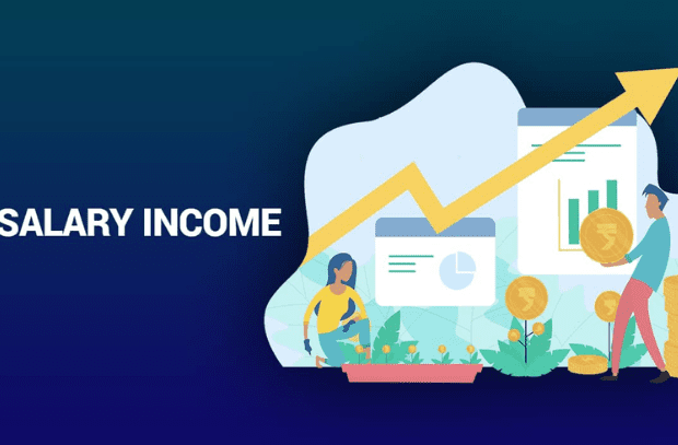 Service Provider of Salary Income in West delhi, Delhi, India.